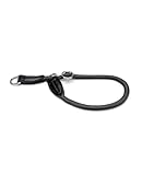 lionto Hundehalsband aus strapazierfähigem Nylon für Hundetraining, Länge 55...