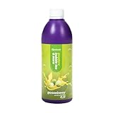 Sirup für Bubble Tea 0,5 l Stachelbeere - Pineapple | Getränke sirup Konzentrat 500 ml |...