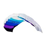 Wolkenstürmer® Paraflex Basic 2-Leiner Lenkmatte 1.2 blau - Kite Drachen mit...