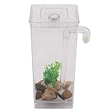 Hundnsney LED Mini Aquarium Aquarium Selbstreinigung Aquarium Schuessel Bequem...