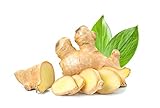 Bio Ingwer | Frischer Ingwer aus biologisch zertifiziertem Anbau | Fresh Ginger...