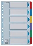 Esselte Register für A4, Deckblatt und 6 Trennblätter mit Taben, Blau/Mehrfarbig,...