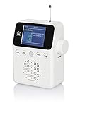 NEWTRO DAB STECKDOSENRADIO COLOR MIT BEWEGUNGSMELDER INKL. AKKU, portables Radio, ideales...