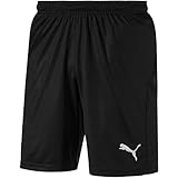 PUMA Herren Liga Shorts Core With Brief Hose, Puma Black-puma White, XL EU