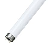 Leuchtstofflampe TL-D 18 Watt 865 - Philips Tageslichtweiss 18W