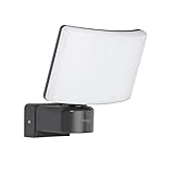 Oktaplex lighting LED Außenstrahler Außen Cali 30W | Wand Strahler IP65 3000K warmweiß...