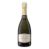 Doppio Passo Asolo Prosecco Superiore DOCG, trocken (1 x 0,75 l)