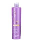 Inebrya Ice Cream Liss- Glättendes Shampoo 300 ml