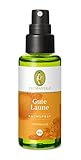 PRIMAVERA Raumspray Gute Laune bio 50 ml - Aromadiffuser, Aromatherapie -...