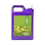 Sirup für Bubble Tea 2,5 kg - 1900 ml | Stachelbeere | Getränke sirup Konzentrat 1,9l |...