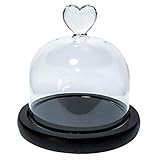 HEMOTON Dome Cloche Glasglocke mit Mini-Sockel, Display aus Glas, transparent, Deckel für...