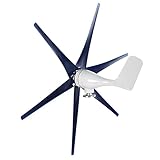 6 Blatt Professionelle Windkraftanlagen Kleiner Windmühlen-Generator 800W...