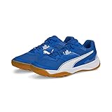 PUMA Unisex Solarflash II Hallenturnschuh, Royal White-Gum, 43 EU