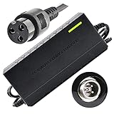 Ausgang 42V 2A für Mobility Rollstuhl Scooter eBike Batterieladegerät Lithiumbatterien...