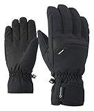 Ziener Herren Glyn GTX Gore Plus Warm Glove Alpine Ski-handschuhe, , schwarz...