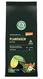 Lebensbaum Plantagen Kaffee, gemahlen, demeter, 3er Pack (3 x 250 g)