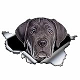 HEPVET Kreative 3D Black Cane Corso Auto Aufkleber Torn Metall Decal Reflektierende...