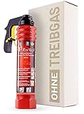 F-Exx 8.0 F - Schaum-Feuerlöscher für Haushalt und Küche - 800ml Löschspray...