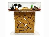 Natürliche Ameisenfarm aus Sand - Acryl T Kit 15x15x1,5cm【Ameisen kostenlos...