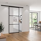 inova Glasschiebetür klar 1025x2200mm umlaufendes Aluminium Profil in schwarz...