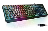 KLIM Chroma Gaming Tastatur QWERTZ DEUTSCH mit Kabel USB - NEU 2024 - Langlebig,...