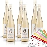 Hans Baer Pinot Grigio alkoholfrei, lieblich, sortenreines Weinpaket (6 x 0,75l) + VINOX...