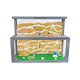 AntHouse - Natürliche Ameisenfarm aus Sand 3D | Modell L (Sandwich + Futterbox) Grau |...