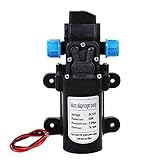 Wasserpumpe, 12V Selbstansaugend 60W 5L/Min Druckpumpe Wasser mit Druckschalter...