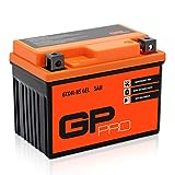 GP-PRO GP-001, 12V GEL 5Ah GEL Motorrad Batterie GTX4L-BS, wartungsfrei versiegelt...