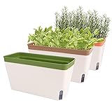 Fayavoo Selbstbewässernder Blumentopf, Set von 3 27cm Rechteckige Pflanztopf...