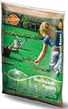 Pegasus Nachsaat-Rasensamen, 1 Kg, 25qm, 622258 - Turbo Nachsaat Rasen, Rasenteppich,...