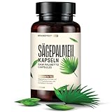 BrainEffect Sägepalmenextrakt (280mg pro Tagesdosis) - 180 Vegane Kapseln, German Quality...