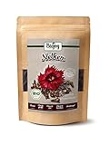 Biojoy BIO-Nelken ganz (250 gr), getrocknet, Gewürznelken ohne Zusätze (Syzygium...