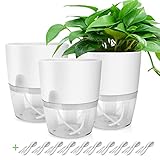 Kräutertopf 3er Set - Weiß Küchenkräuter Blumentopf 15 cm, Kunststoff...