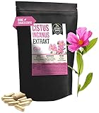 Cistus Incanus Extrakt | 40% Polyphenole | 240 Kapseln 400mg | Zistrose ohne...