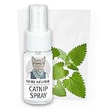 Kater Kasimir Katzenminze Spray für Kratzbaum, 100% natürlich ohne Zusatzstoffe, Catnip...