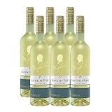 Maybach Sauvignon Blanc Qualitätswein feinherb (6 x 0.75 l)