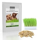 Naturlie XXL 200g Premium Katzengras Samen Set: Saatgut für 80 Töpfe fertiges...