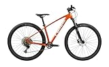 Pells Razzer 2 Midseason Copper S | Flexibles Hardtail-Mountainbike für Alltag &...