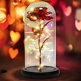 RDYMONKEY Galaxy Rose Blume Geschenk - Galaxie verzauberte Rose mit LED-Licht in...