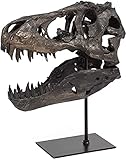 Dinosaurier Schädel Skulpturen Tyrannosaurus Rex Resin Head Statue Wohnzimmer...