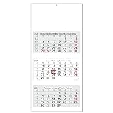 3-Monatskalender 2024 Weiß I Wandkalender 3 Monate I 33 x 70 cm I mehrsprachig D/GB/F/ES...