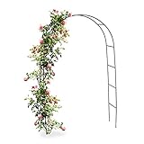 Gartenbogen für Kletterpflanzen und Rosen – 140 x 240 x 37 cm – Gartentür –...