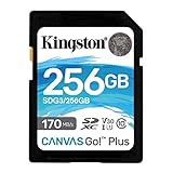 Kingston SDG3/256GB SD Speicherkarte (256GB SDXC Canvas Go Plus 170R C10 UHS-I U3 V30 )