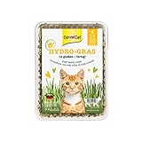 GimCat Hydro-Gras - Frisches Katzengras aus kontrolliertem Feldanbau in nur 5 bis 8 Tagen...