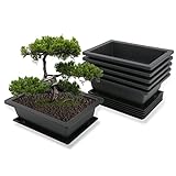 MissFox Bonsai Schale mit Untersetzer, Blumentopf Rechteckig aus Kunststoff, Bonsai Topf...