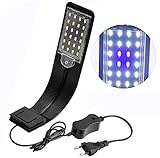 OsAtNb 24 LED Aquarium Licht 10W Aquarium Beleuchtung mit Weiß und Blaulicht LED...