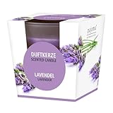 pajoma® Duftkerze, Lavendel - im satinierten Glas | 120g Wachsgewicht, Brenndauer: 25...