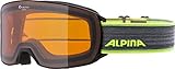 ALPINA NAKISKA - Beschlagfreie, Extrem Robuste & Bruchsichere OTG Skibrille Mit...