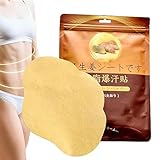 Biset Abnehmpflaster,Ingwer Anti-Cellulite Body Slim Aufkleber - 10 Stück/Packung...